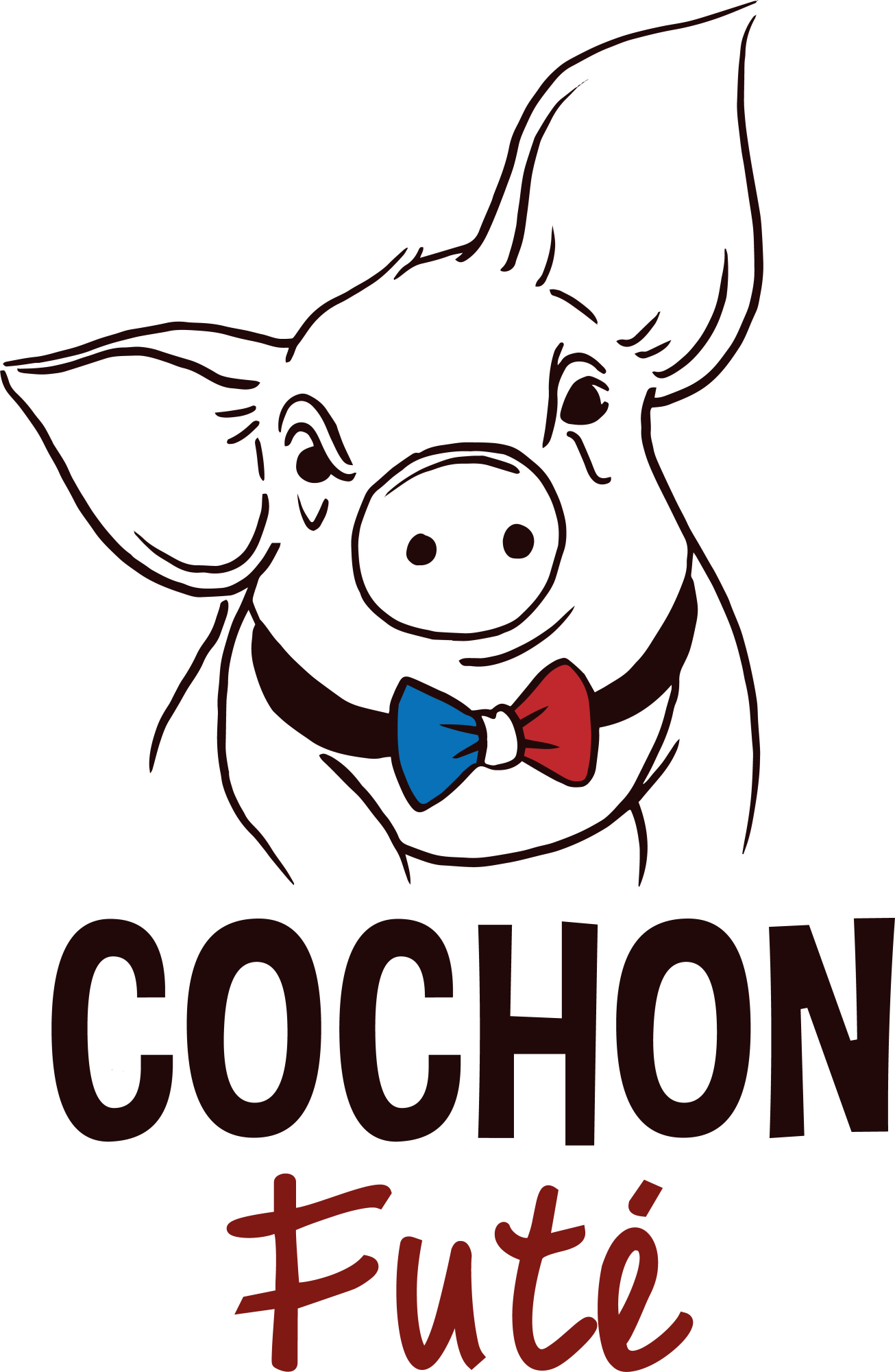 Accueil Fichier 8 3 Fichier 8 - Cochon Futé